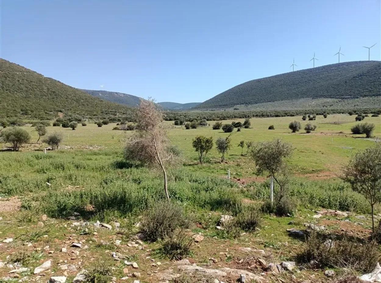 Didim'de Kaçırılmayacak 5 Arsa Fırsatı! Herbirinin Adet Fiyatı Açıklamada.