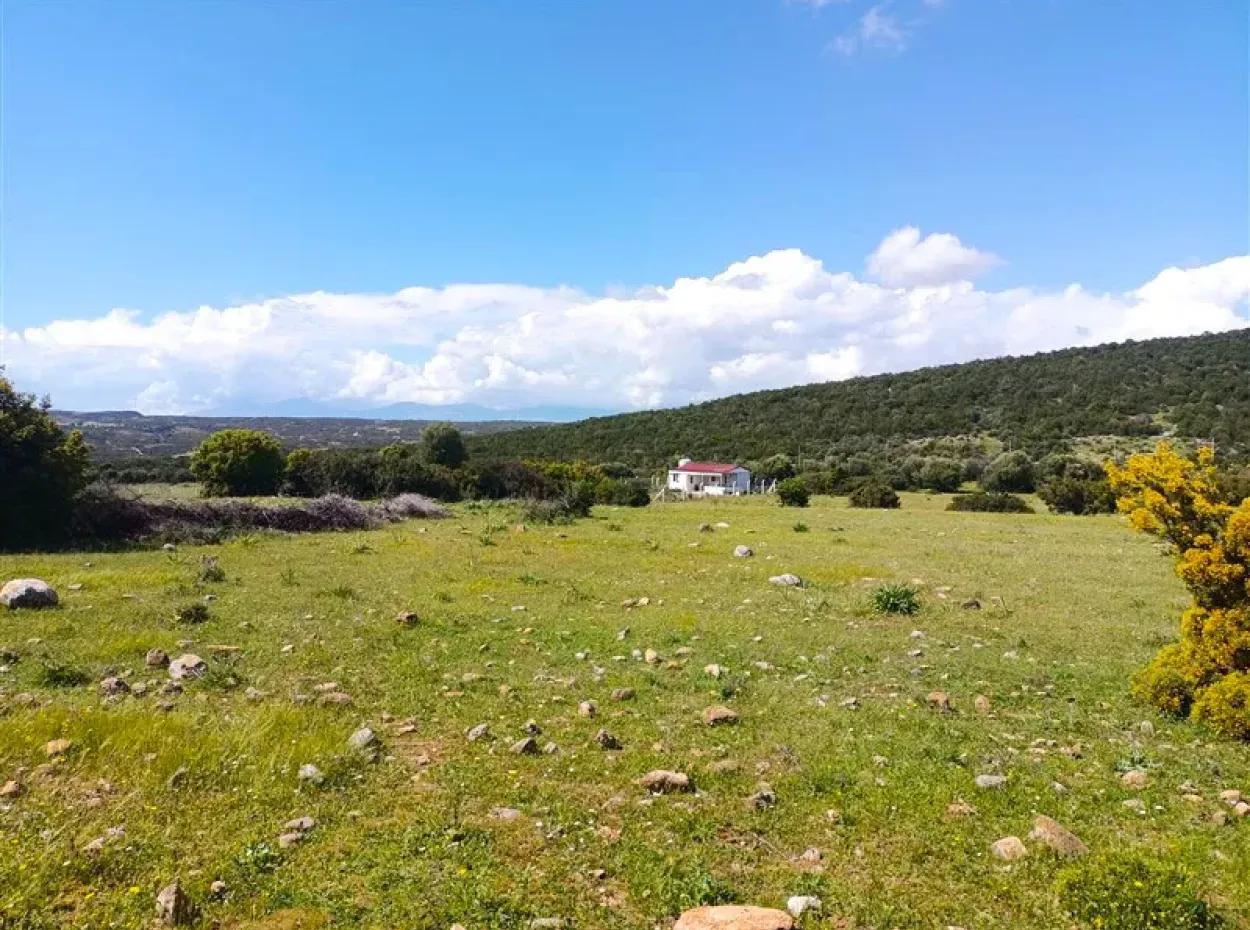 Didim Akyeniköy 1. Balova'da İmarlı Satılık Arsa