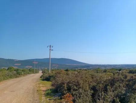 Didim Akyeniköy Bozseki İmarlı Satılık Arsalar