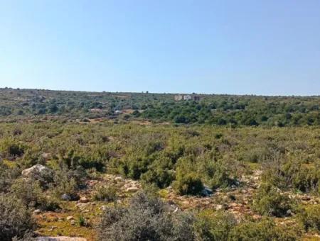 Didim Akyeniköy Bozseki İmarlı Satılık Arsalar