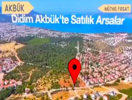 Didim Akbük'te İmarlı Satılık Arsalar