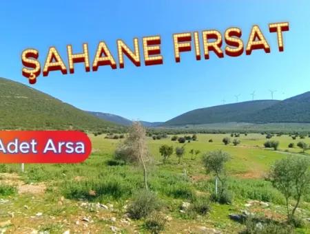 Didim'de Kaçırılmayacak 5 Arsa Fırsatı! Herbirinin Adet Fiyatı Açıklamada.