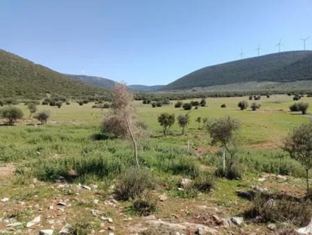 Didim'de Kaçırılmayacak 5 Arsa Fırsatı! Herbirinin Adet Fiyatı Açıklamada.