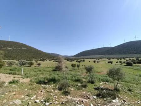 Didim'de Kaçırılmayacak 5 Arsa Fırsatı! Herbirinin Adet Fiyatı Açıklamada.
