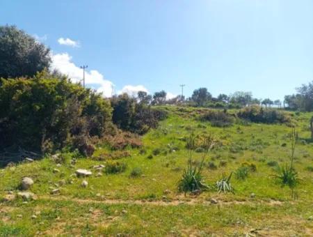 Didim Akyeniköy 1. Balova'da İmarlı Satılık Arsa