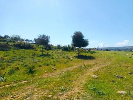 Didim Akyeniköy 1. Balova'da İmarlı Satılık Arsa