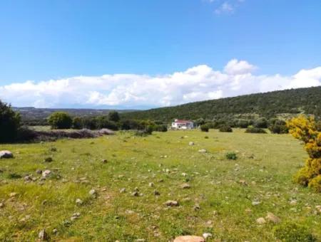 Didim Akyeniköy 1. Balova'da İmarlı Satılık Arsa