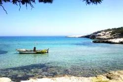 Didim Hakkında